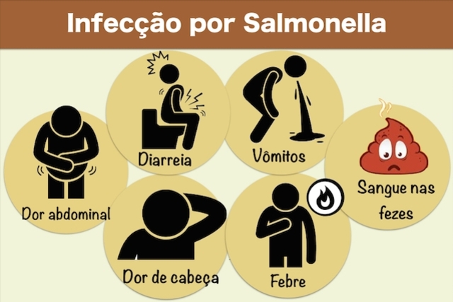 Salmonella e Salmonelose: O que é e o que causa?