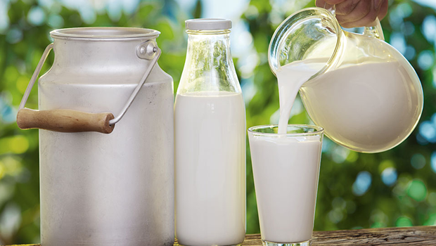 Saiba a diferença entre intolerância e alergia ao leite
