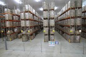 Capacidade de armazenamento de alimentos cai 0,6%, aponta IBGE