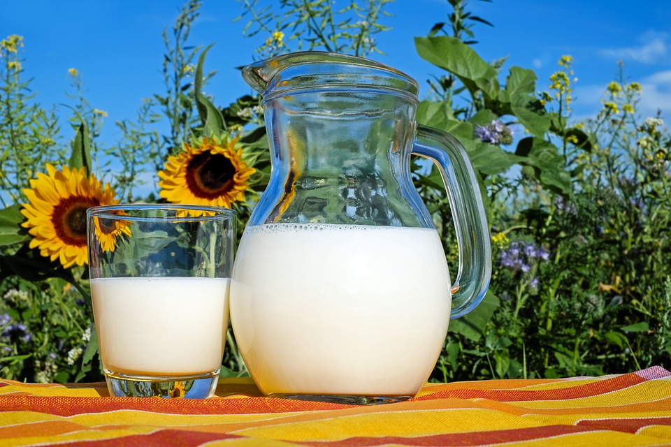 Você já ouviu falar em leite A2? Ele é seguro para alérgicos?