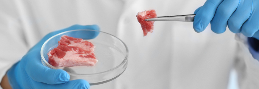 Cientistas desenvolvem técnica para a construção de carne bovina em 3D