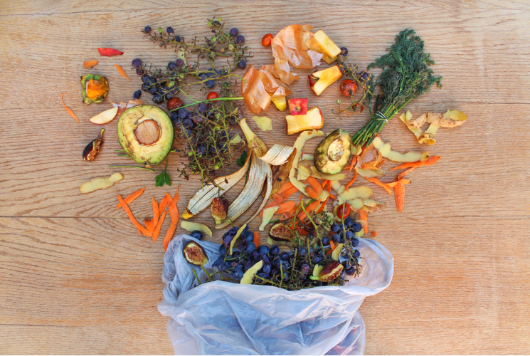 Admirável mundo novo – alimentos reciclados!